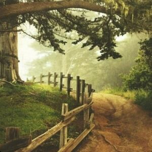 UNLISTED - LOW STARTS NOTIFICATION